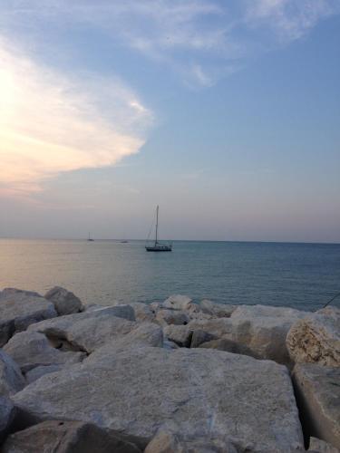 Spring Rimini